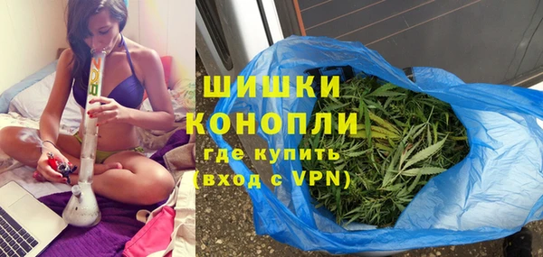 МДПВ Нефтегорск