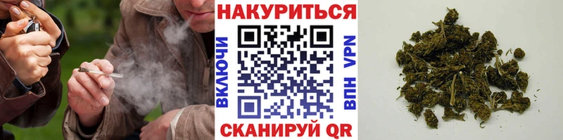 где найти   Ртищево  Шишки марихуана Bruce Banner 